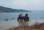 Balade  cheval au lac de Naussac en Lozre